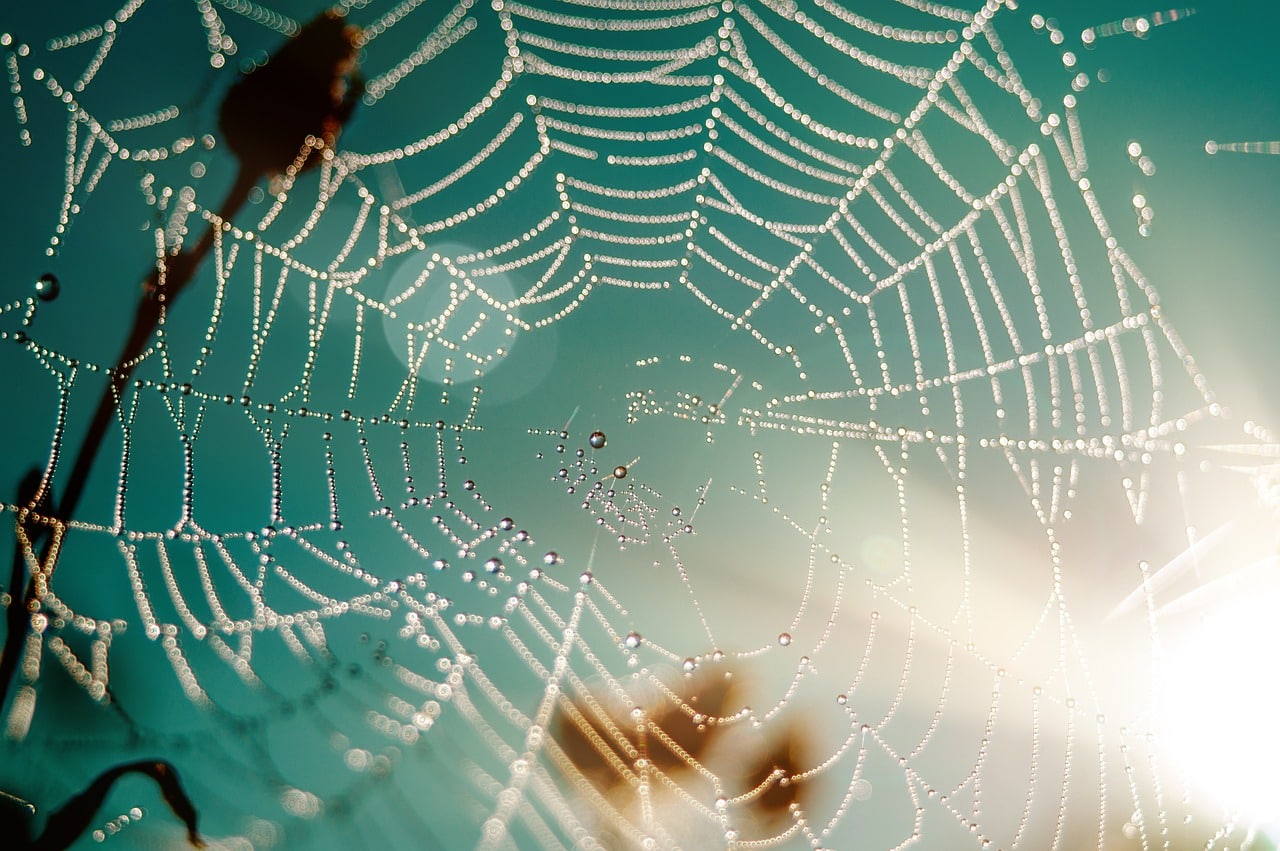 Toiles d'araignée : comment les réaliser facilement et repousser les